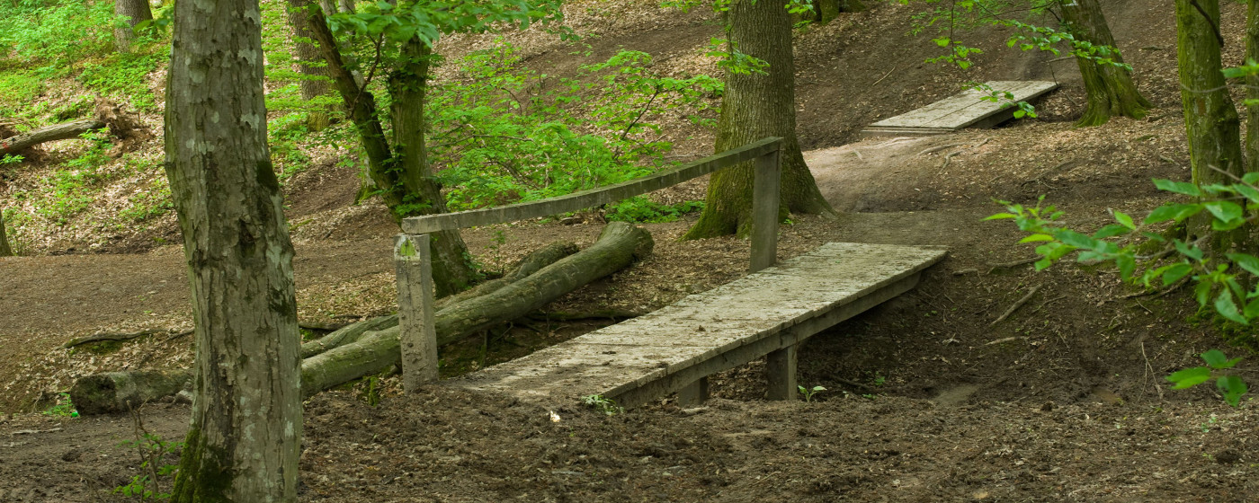 (Español) Trabajos Forestales